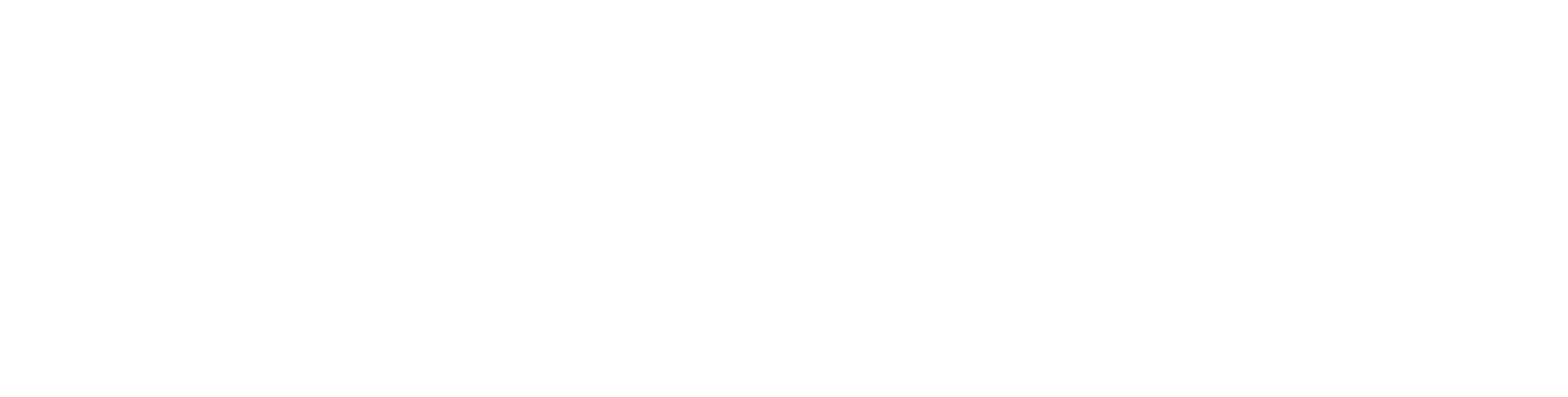 Logo Studio Holgersson W PNG